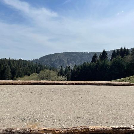 Appartement - Au Coeur Du Lac Blanc Orbey Eksteriør bilde